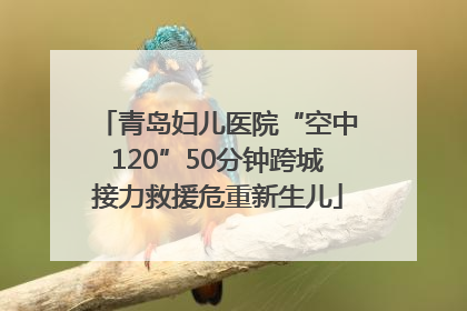 青岛妇儿医院“空中120”50分钟跨城接力救援危重新生儿