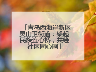 青岛西海岸新区灵山卫街道：架起民族连心桥，共绘社区同心圆