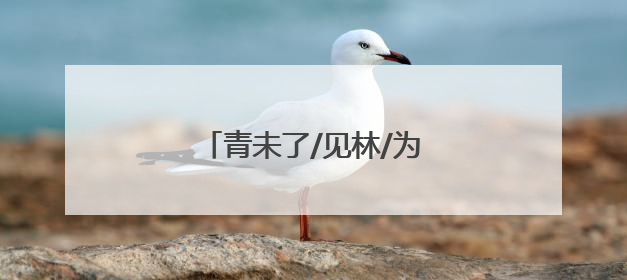 青未了/见林/为什么我会如此感动