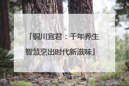 铜川宜君：千年养生智慧烹出时代新滋味