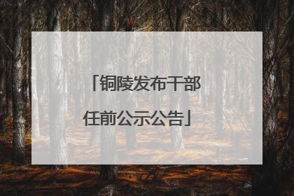 铜陵发布干部任前公示公告