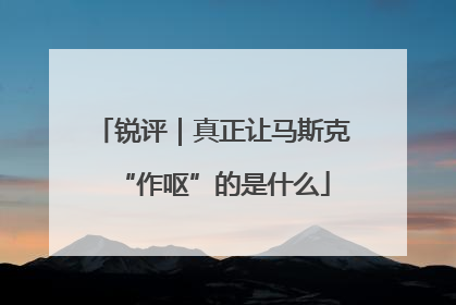 锐评｜真正让马斯克“作呕”的是什么