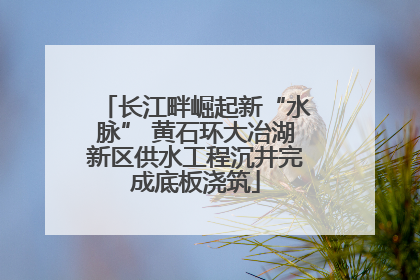 长江畔崛起新“水脉” 黄石环大冶湖新区供水工程沉井完成底板浇筑