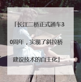 长江二桥正式通车30周年，实现了斜拉桥建设技术的自主化