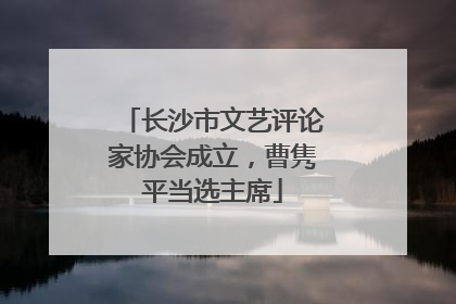 长沙市文艺评论家协会成立，曹隽平当选主席