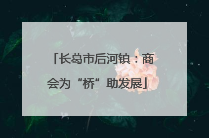长葛市后河镇：商会为“桥”助发展