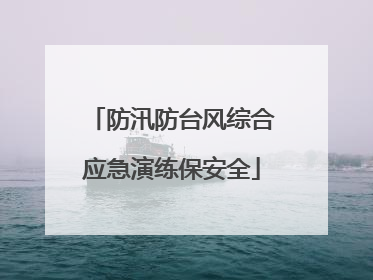 防汛防台风综合应急演练保安全