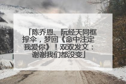 陈乔恩、阮经天同框撑伞，梦回《命中注定我爱你》！双双发文：谢谢我们都没变