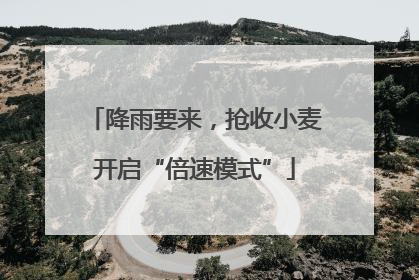 降雨要来，抢收小麦开启“倍速模式”