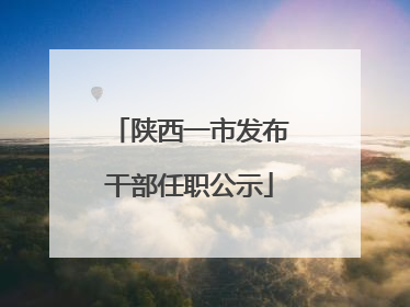 陕西一市发布干部任职公示