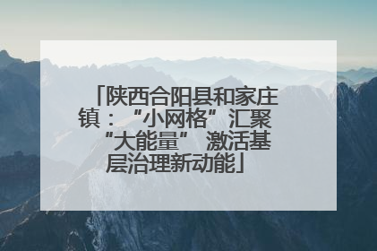 陕西合阳县和家庄镇：“小网格”汇聚“大能量” 激活基层治理新动能