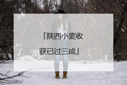 陕西小麦收获已过三成