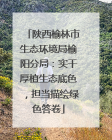 陕西榆林市生态环境局榆阳分局：实干厚植生态底色，担当描绘绿色答卷