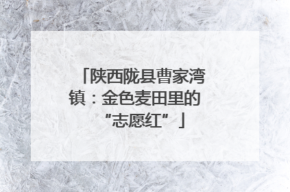 陕西陇县曹家湾镇：金色麦田里的“志愿红”
