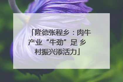隆德张程乡：肉牛产业“牛劲”足 乡村振兴添活力