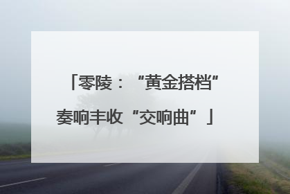 零陵：“黄金搭档”奏响丰收“交响曲”