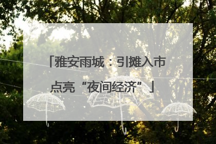 雅安雨城：引摊入市 点亮“夜间经济”