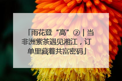 雨花登“高”②｜当非洲紫茶遇见湘江，订单里藏着共富密码