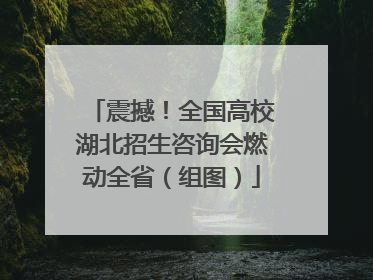 震撼！全国高校湖北招生咨询会燃动全省（组图）