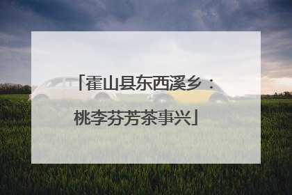 霍山县东西溪乡：桃李芬芳茶事兴