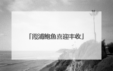 霞浦鲍鱼喜迎丰收