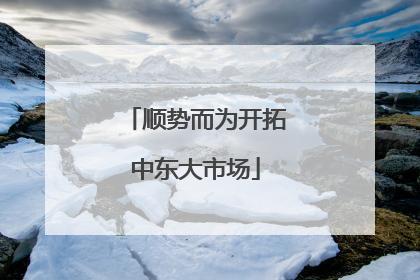 顺势而为开拓中东大市场