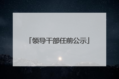 领导干部任前公示