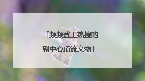频频登上热搜的副中心顶流文物