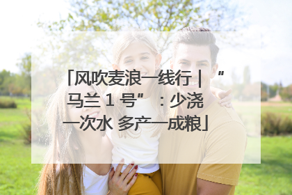 风吹麦浪一线行｜“马兰 1 号”：少浇一次水 多产一成粮