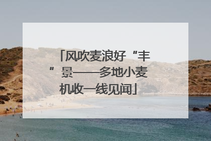 风吹麦浪好“丰”景——多地小麦机收一线见闻