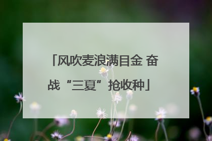 风吹麦浪满目金 奋战“三夏”抢收种