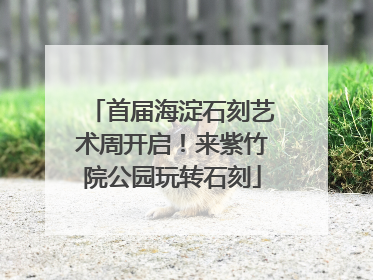 首届海淀石刻艺术周开启！来紫竹院公园玩转石刻