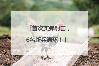 首次实弹射击，6名新兵满环！