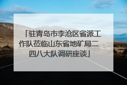 驻青岛市李沧区省派工作队莅临山东省地矿局二四八大队调研座谈