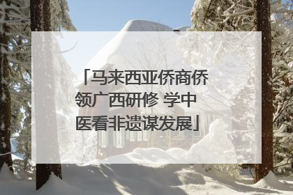 马来西亚侨商侨领广西研修 学中医看非遗谋发展