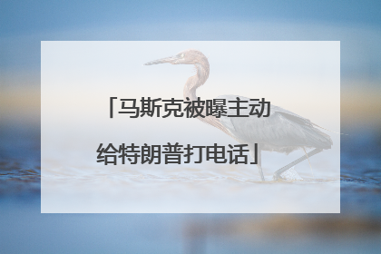 马斯克被曝主动给特朗普打电话