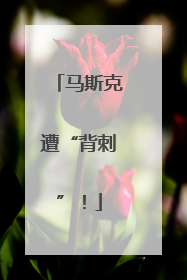 马斯克遭“背刺”！