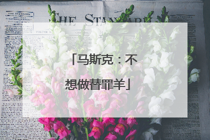 马斯克：不想做替罪羊
