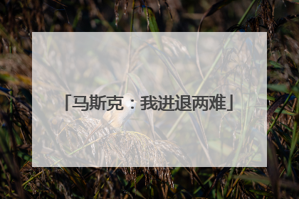 马斯克：我进退两难