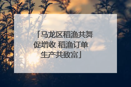 马龙区稻渔共舞促增收 稻渔订单生产共致富