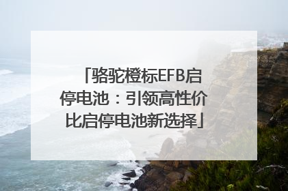 骆驼橙标EFB启停电池：引领高性价比启停电池新选择