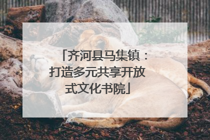 齐河县马集镇：打造多元共享开放式文化书院