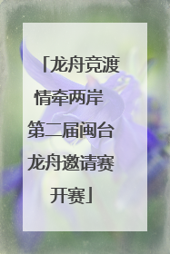 龙舟竞渡情牵两岸 第二届闽台龙舟邀请赛开赛