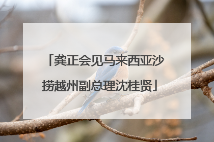 龚正会见马来西亚沙捞越州副总理沈桂贤