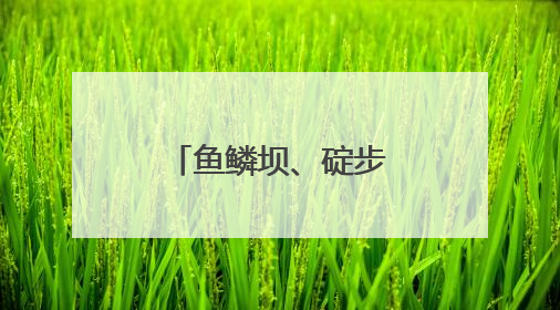鱼鳞坝、碇步桥……福州又多一处网红打卡地！快来打卡！