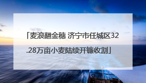 麦浪翻金穗 济宁市任城区32.28万亩小麦陆续开镰收割