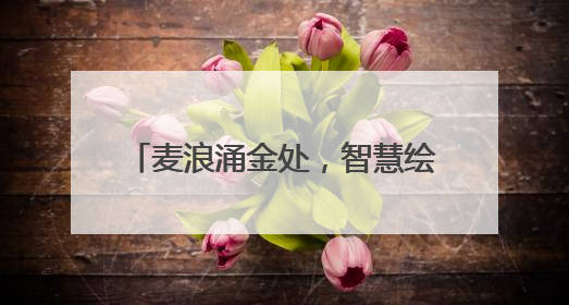 麦浪涌金处，智慧绘新篇！河南首家“小麦—玉米”周年生产无人农场喜迎丰收