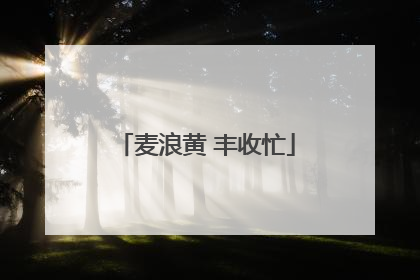 麦浪黄 丰收忙