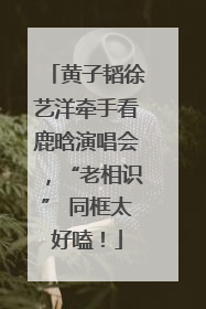 黄子韬徐艺洋牵手看鹿晗演唱会，“老相识” 同框太好嗑！