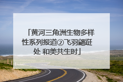 黄河三角洲生物多样性系列报道②飞羽翩跹处 和美共生时